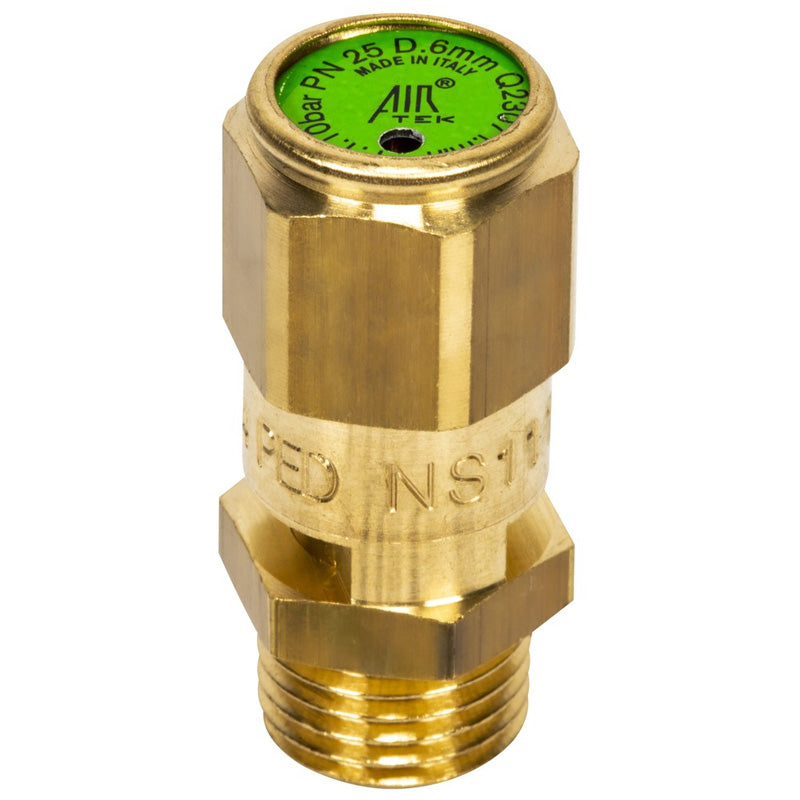 Capsulated safety valve 1/4