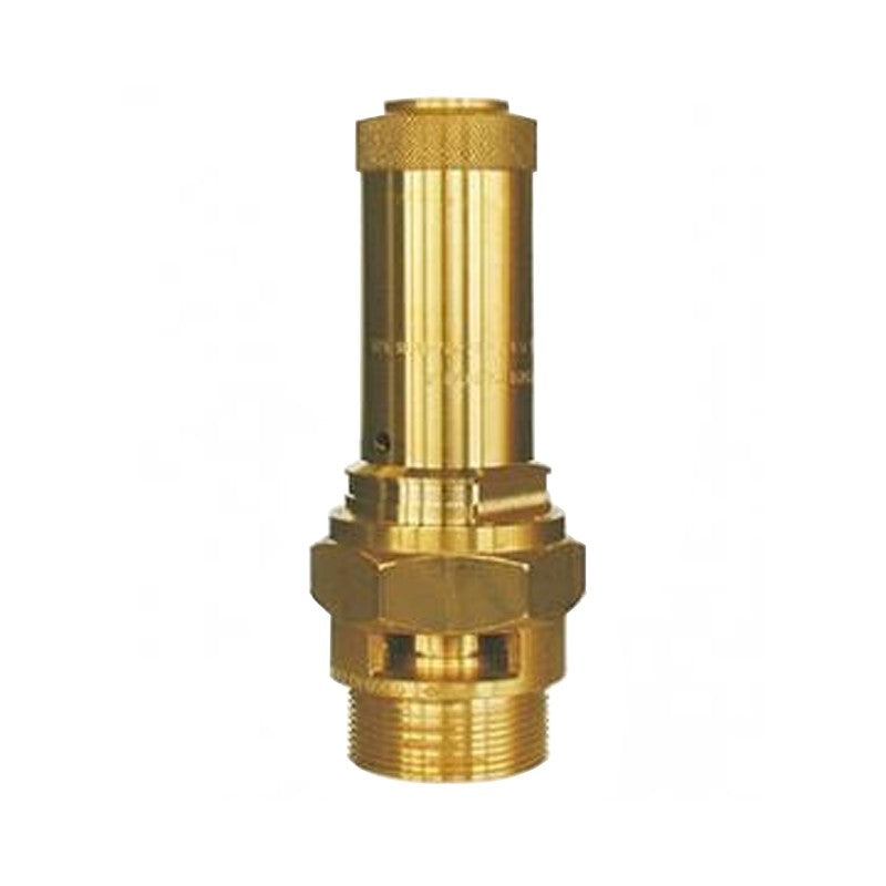 Encapsulated Safety Valve 6 Bar