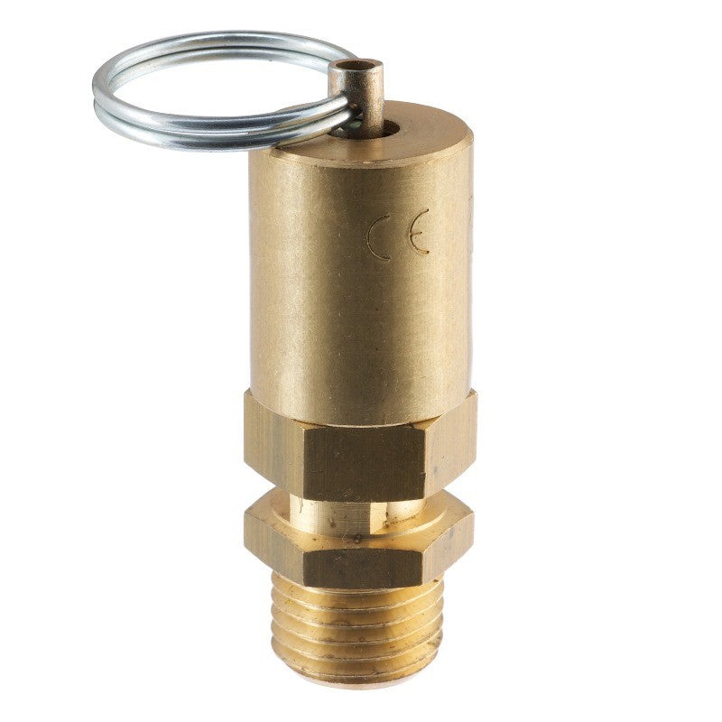 Encapsulated safety valve Type 565/2 (1126001206/Vs1410.5Aped4)