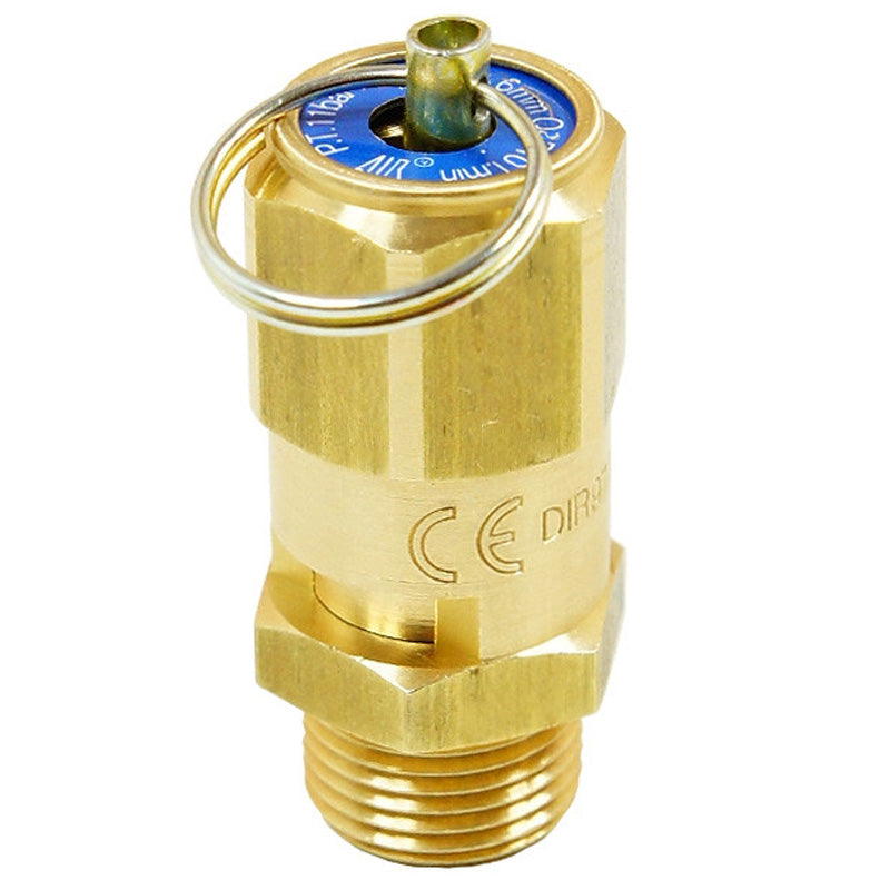 Safety valve with encapsulated ring 1/4