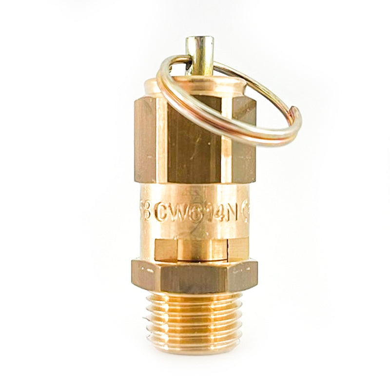 Safety valve with encapsulated ring 1/4